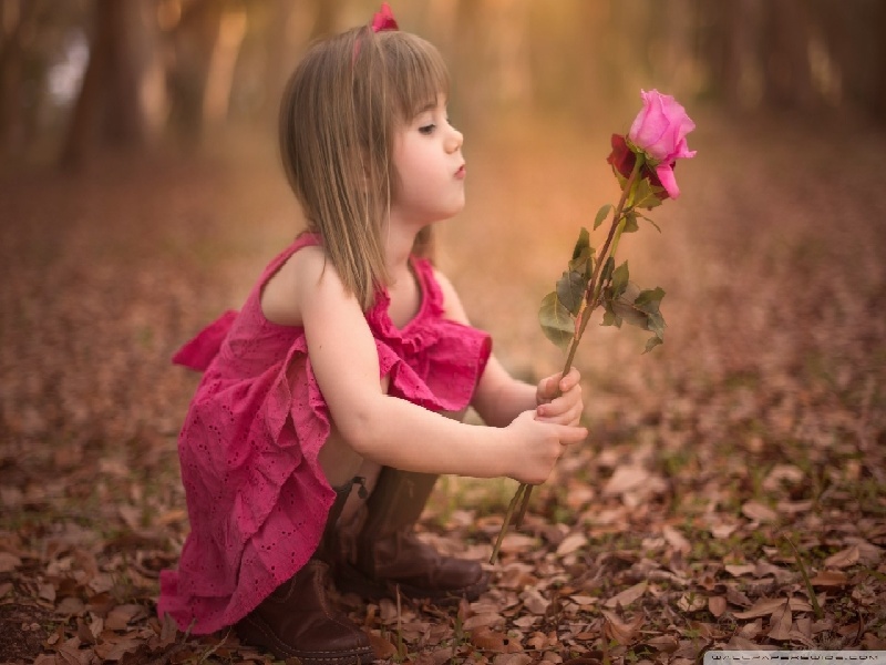 试管技术 市场容量,新冠试管夜